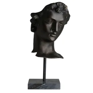 105797 - Head David