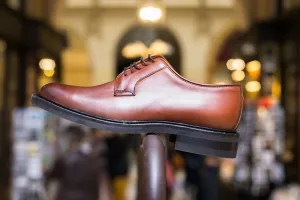 11684 Marron