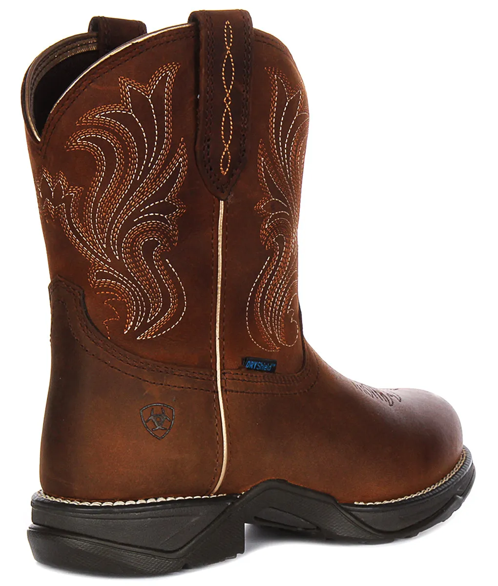 Ariat Anthem In Brown For Women