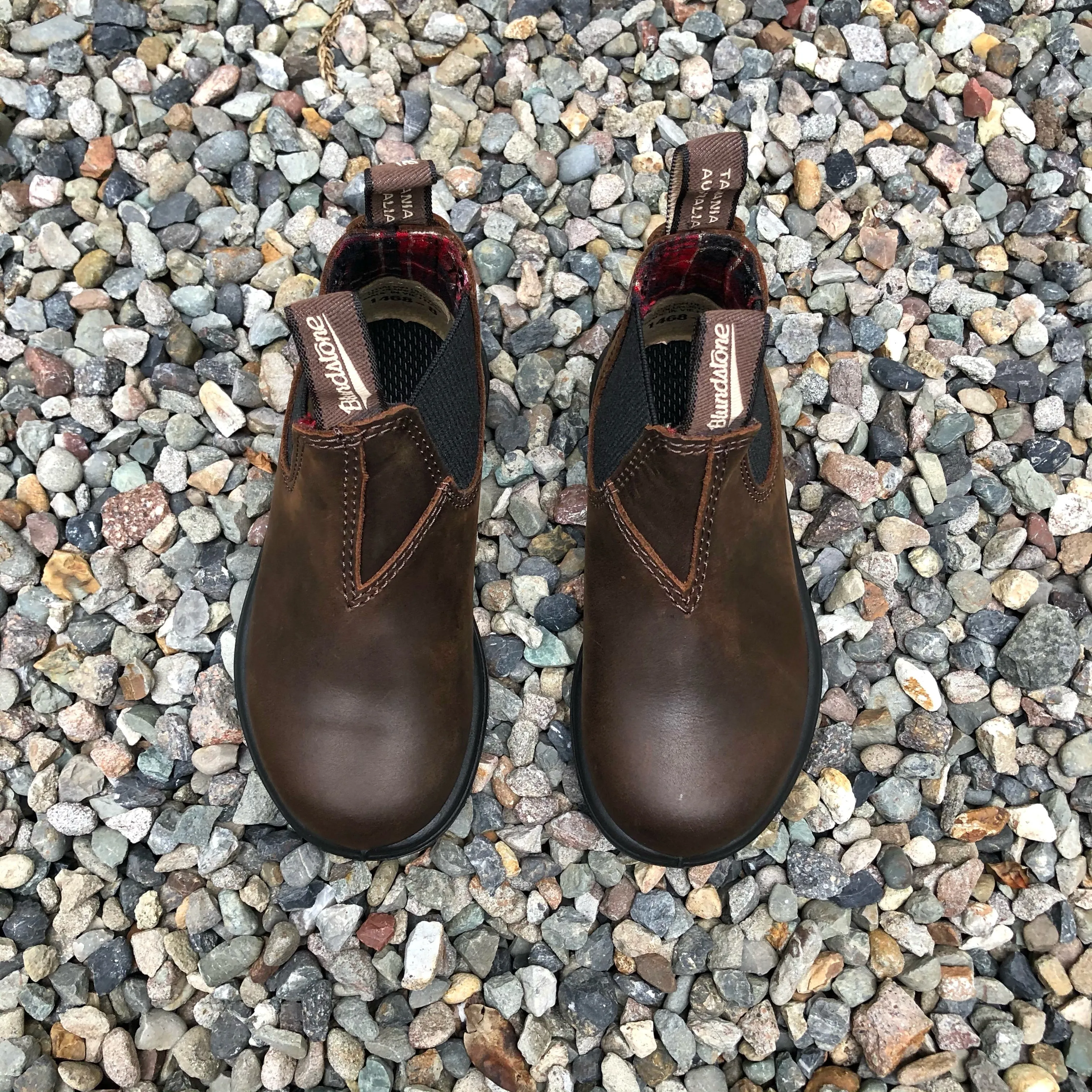 Blundstone - 1468 Kids Chelsea Boot - Antique Brown