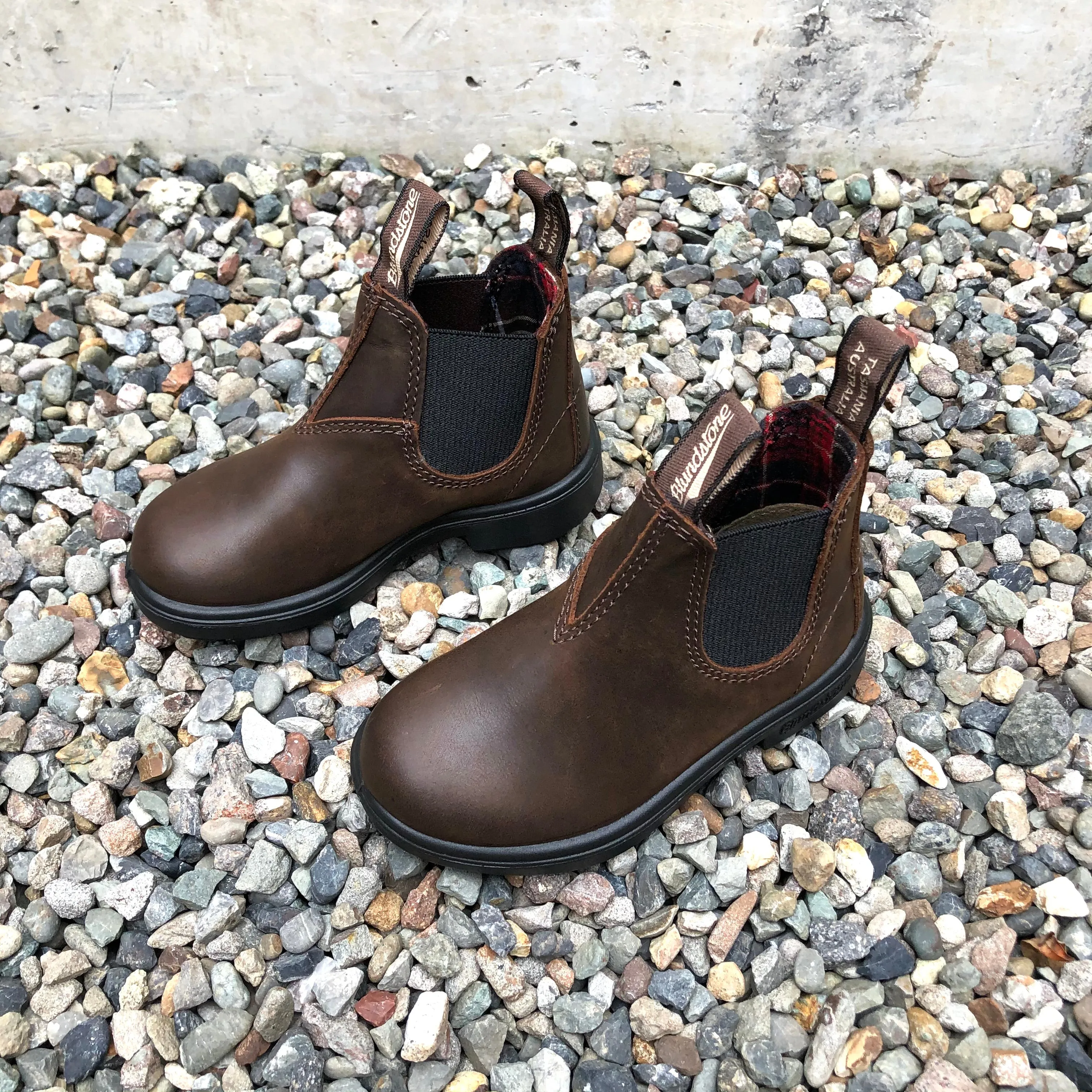 Blundstone - 1468 Kids Chelsea Boot - Antique Brown