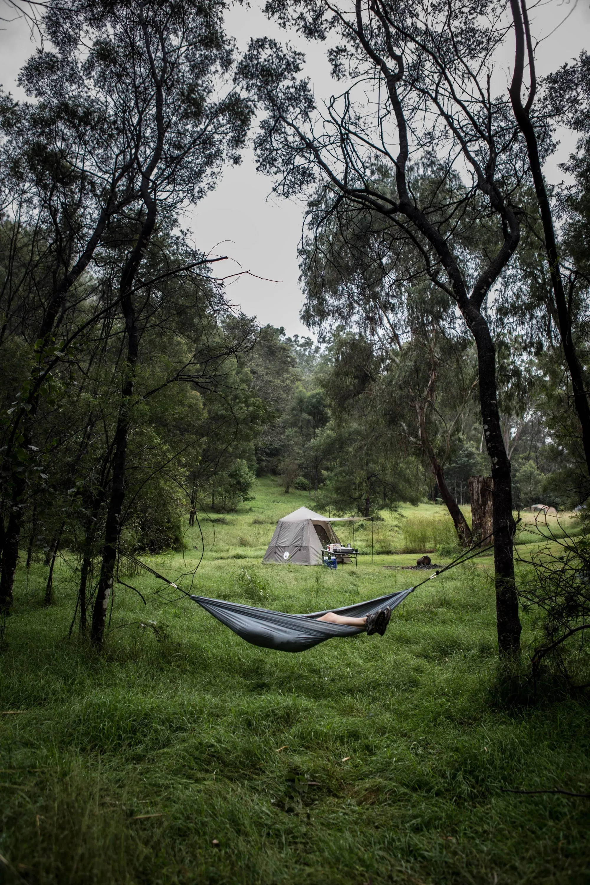 Coleman Hammock Lightweight