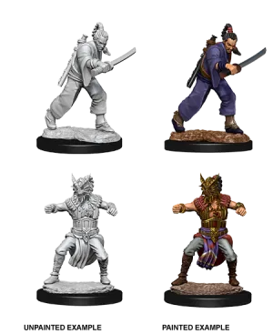 D&D Nolzur's Marvelous Miniatures: Male Human Monk