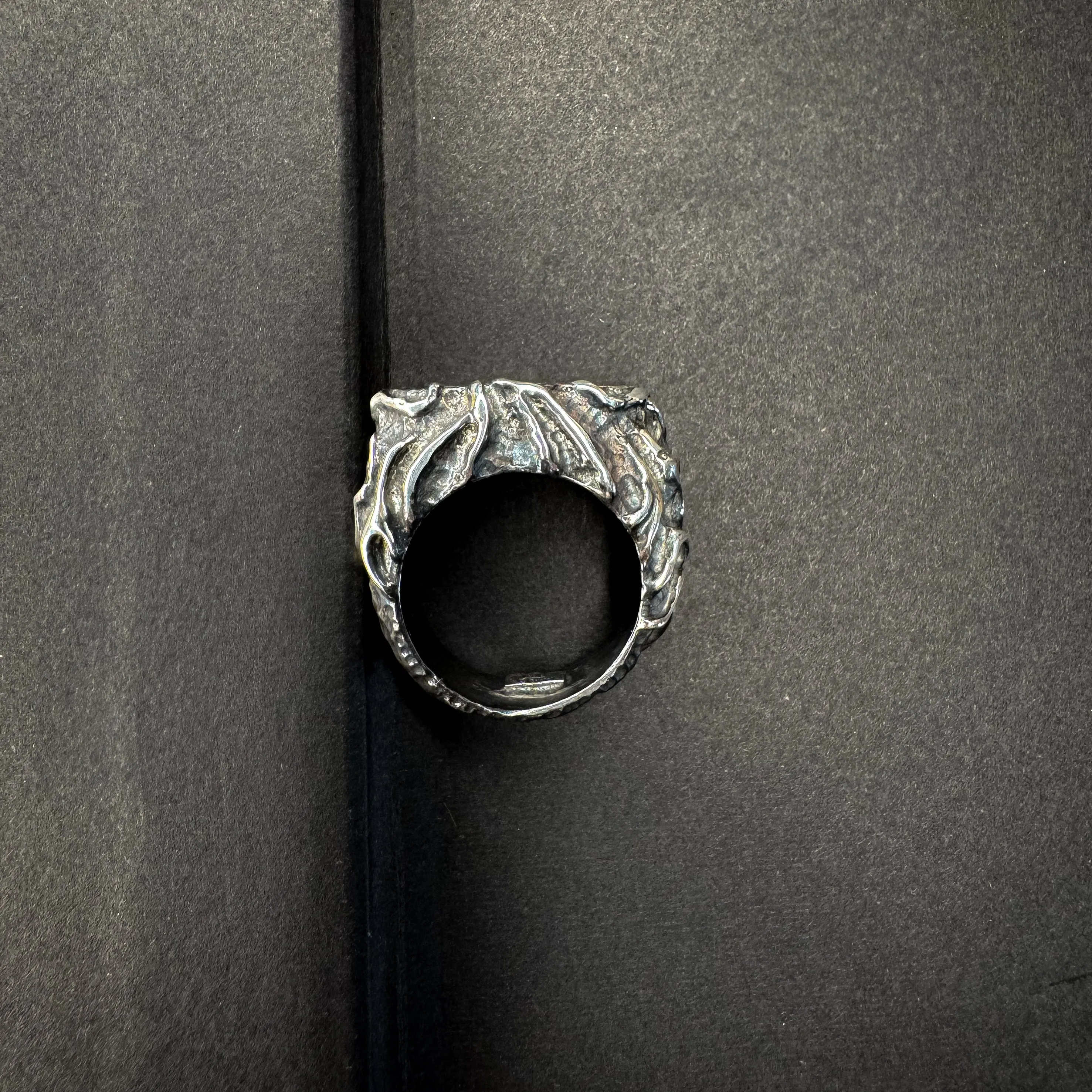 Fault Earth Ring