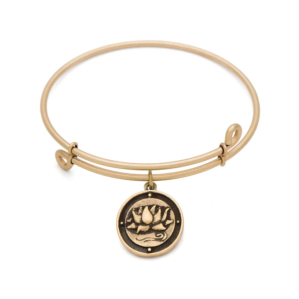 Inner Peace, Bangle Antique Gold Color Finish