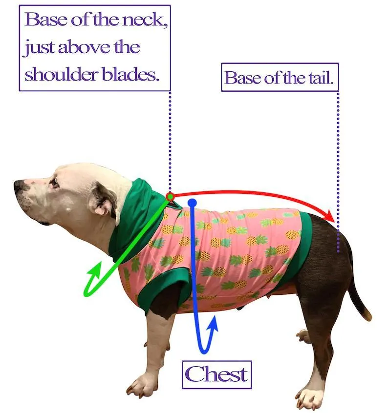 Kentucky Derby Dog Dress with Fascinator