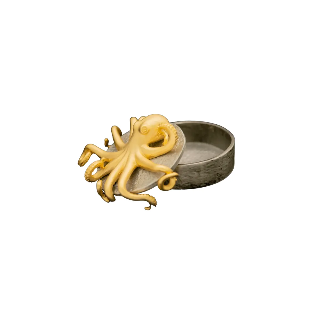 Octopus Box