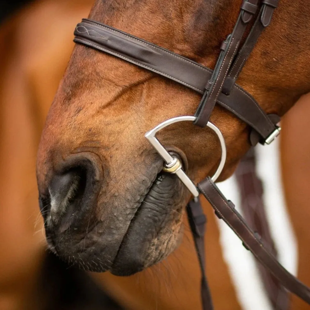 ProSeries Derby Dee Bit