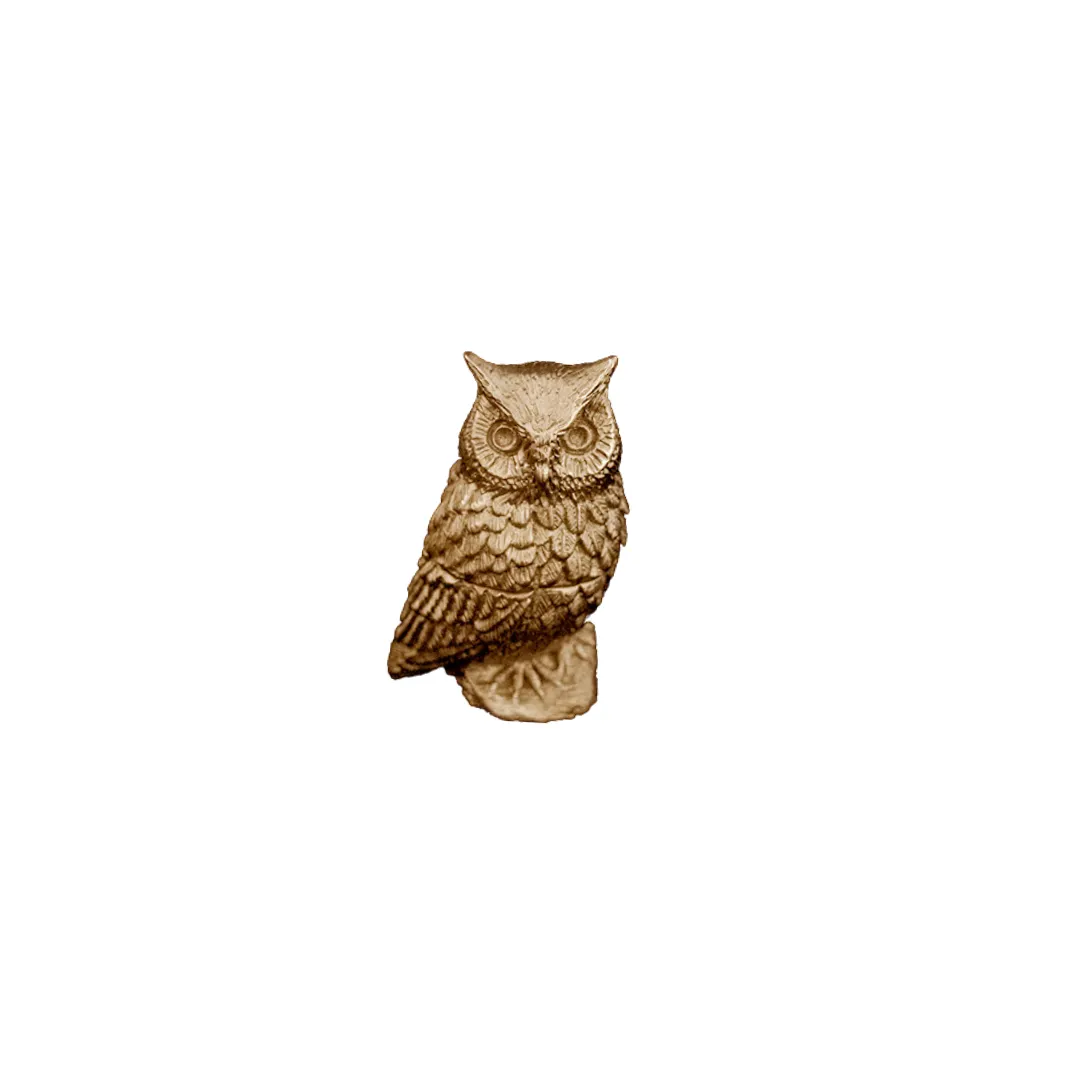 Screech Owl Box in Antique Brass Finish