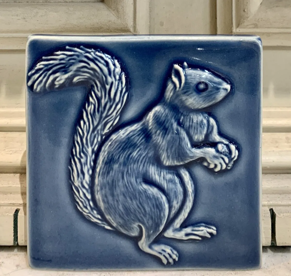 Squirrels