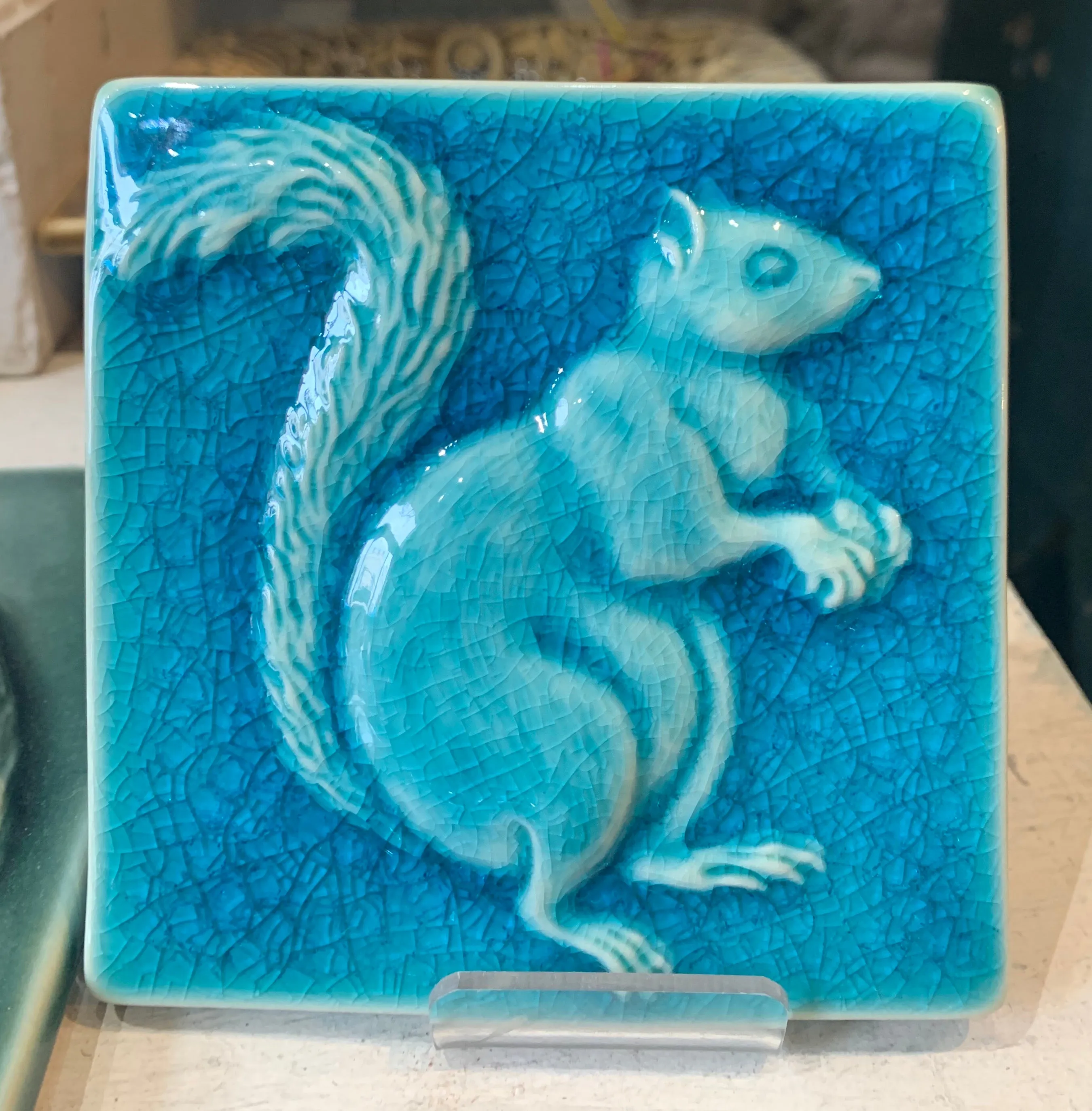 Squirrels