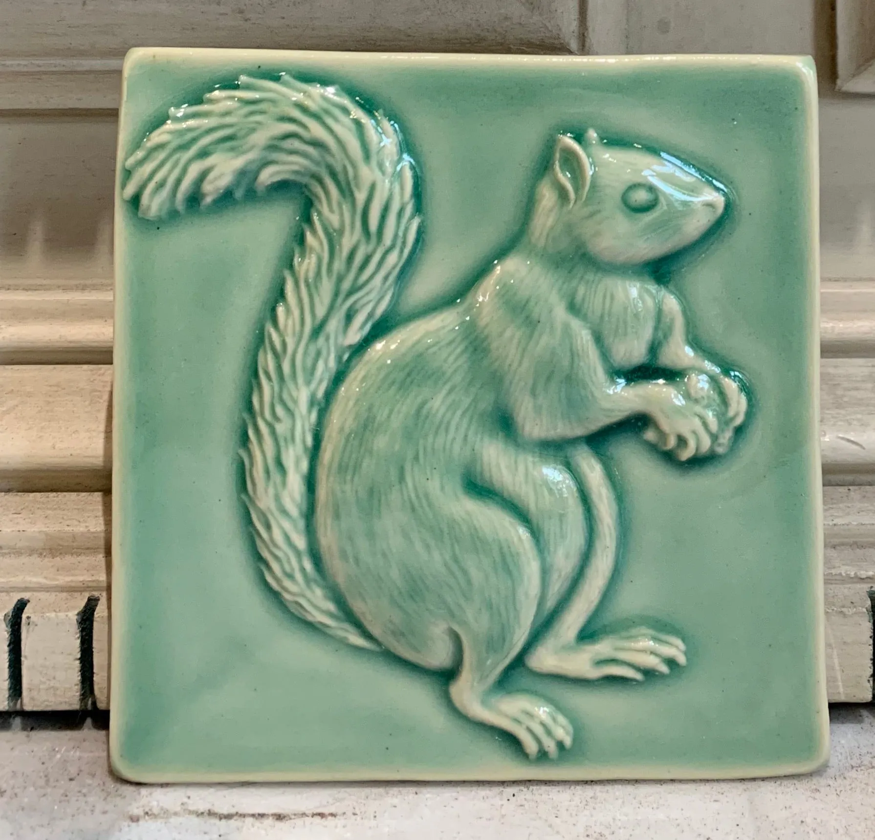 Squirrels