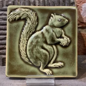 Squirrels