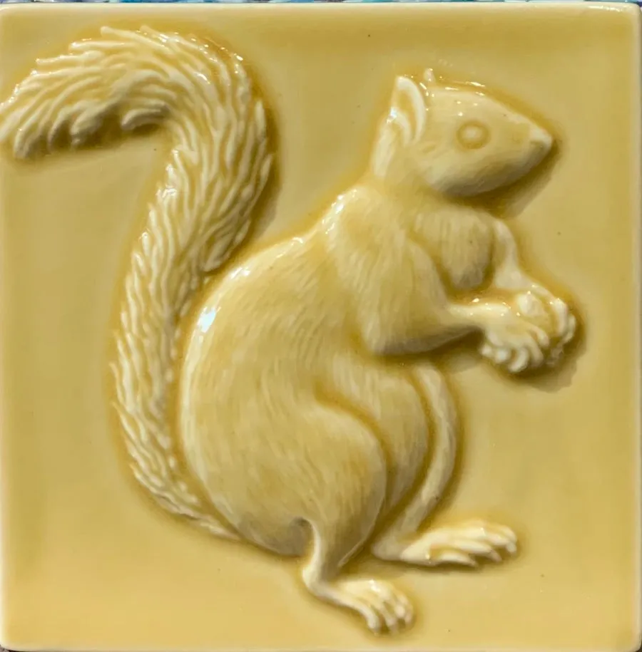 Squirrels