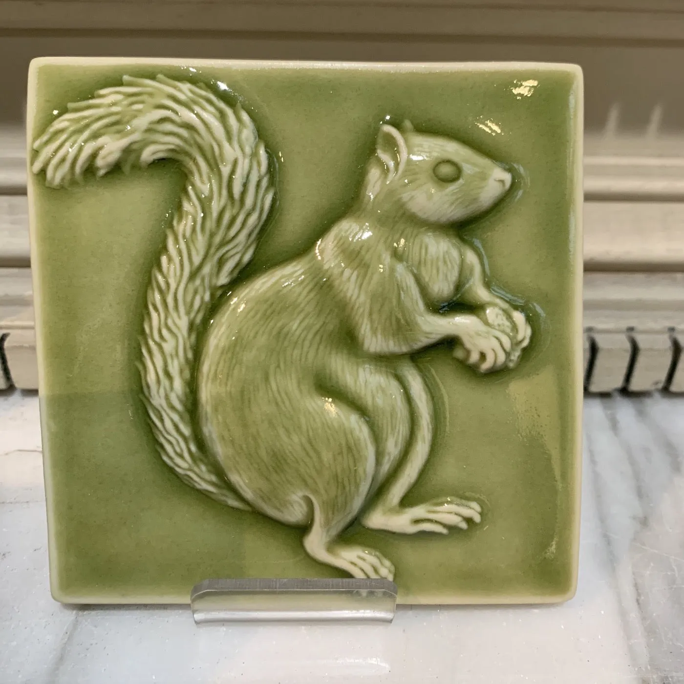Squirrels