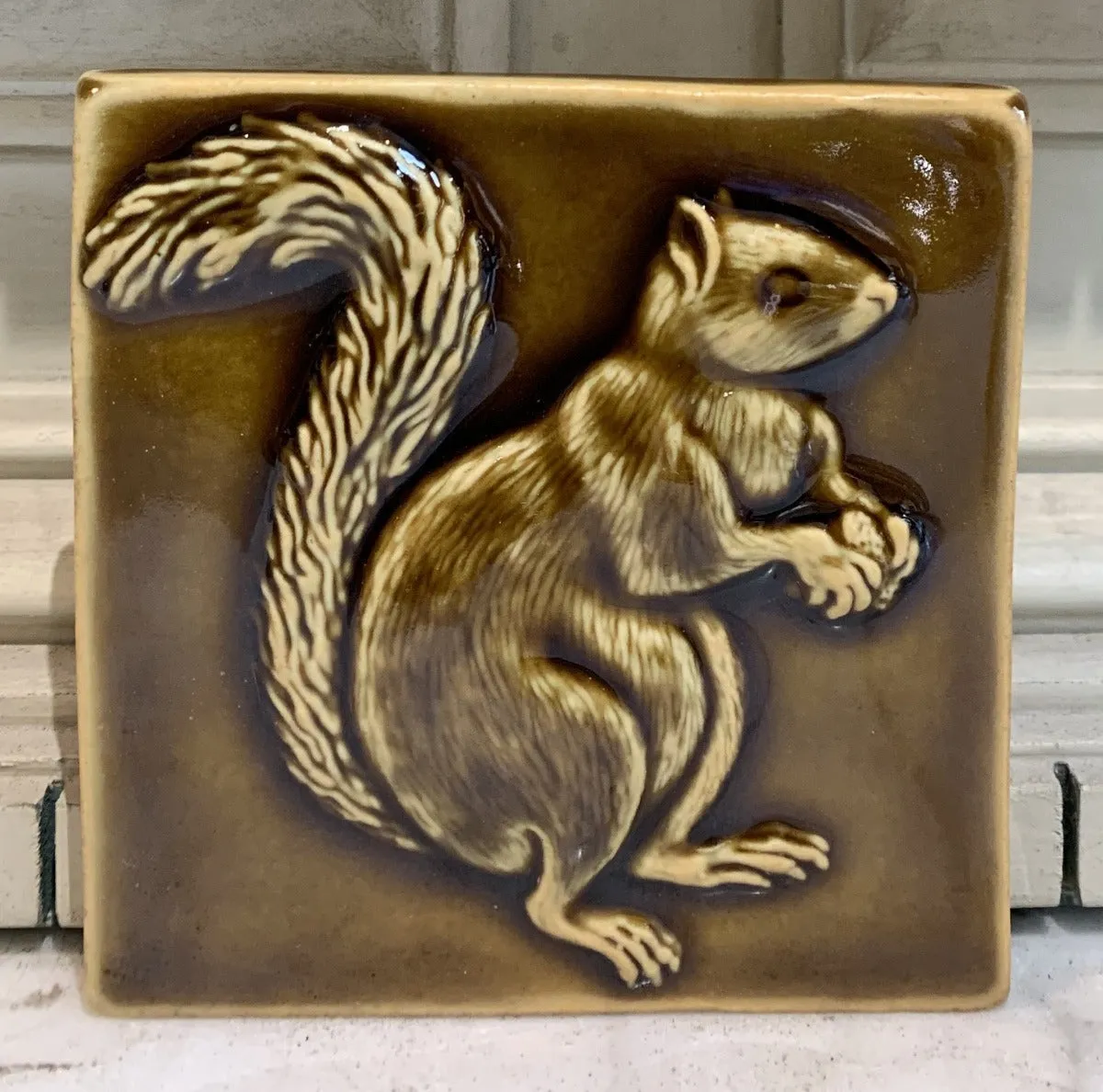 Squirrels