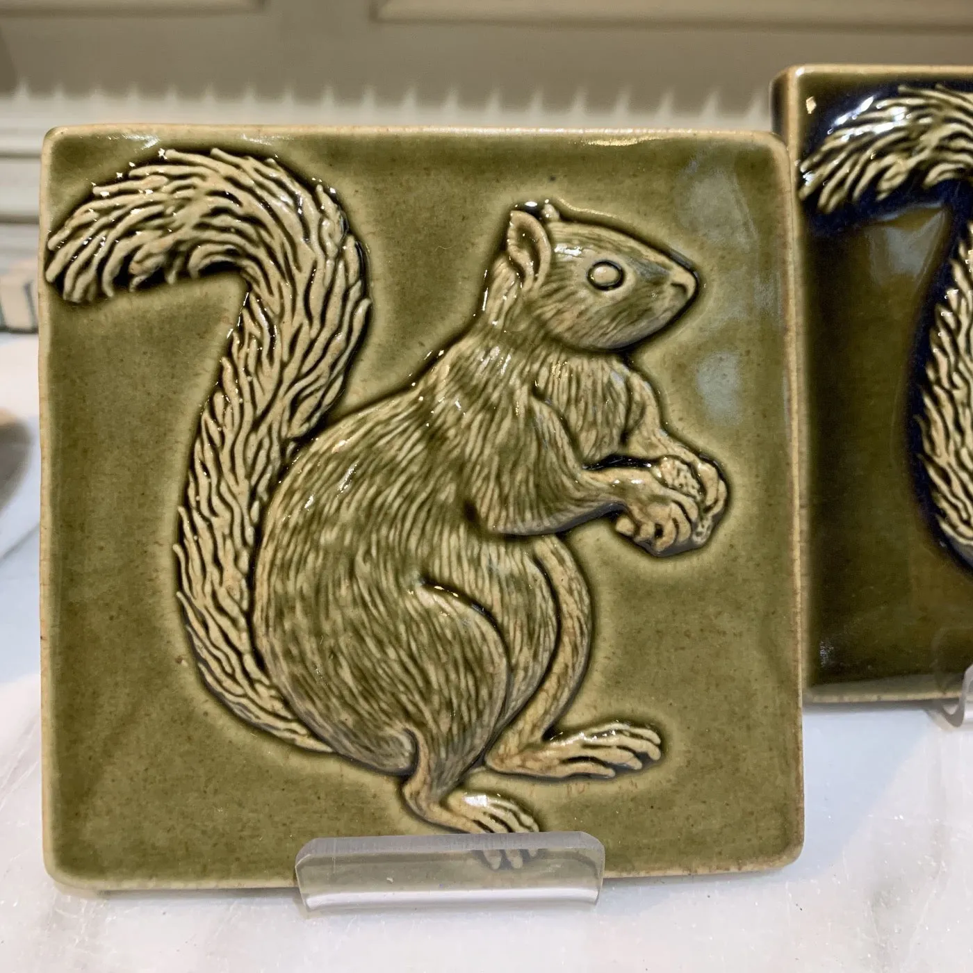 Squirrels