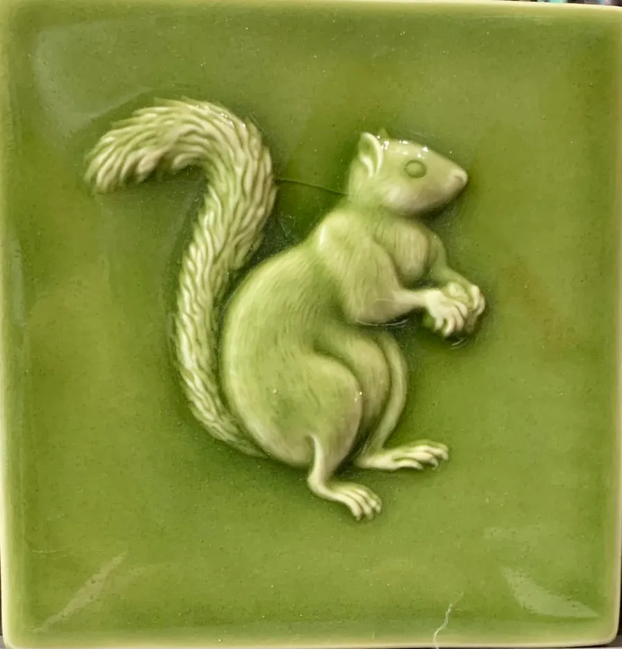 Squirrels