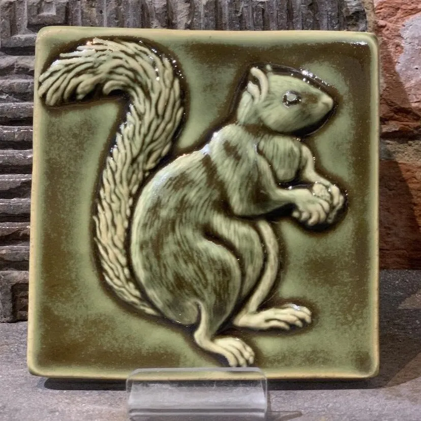 Squirrels