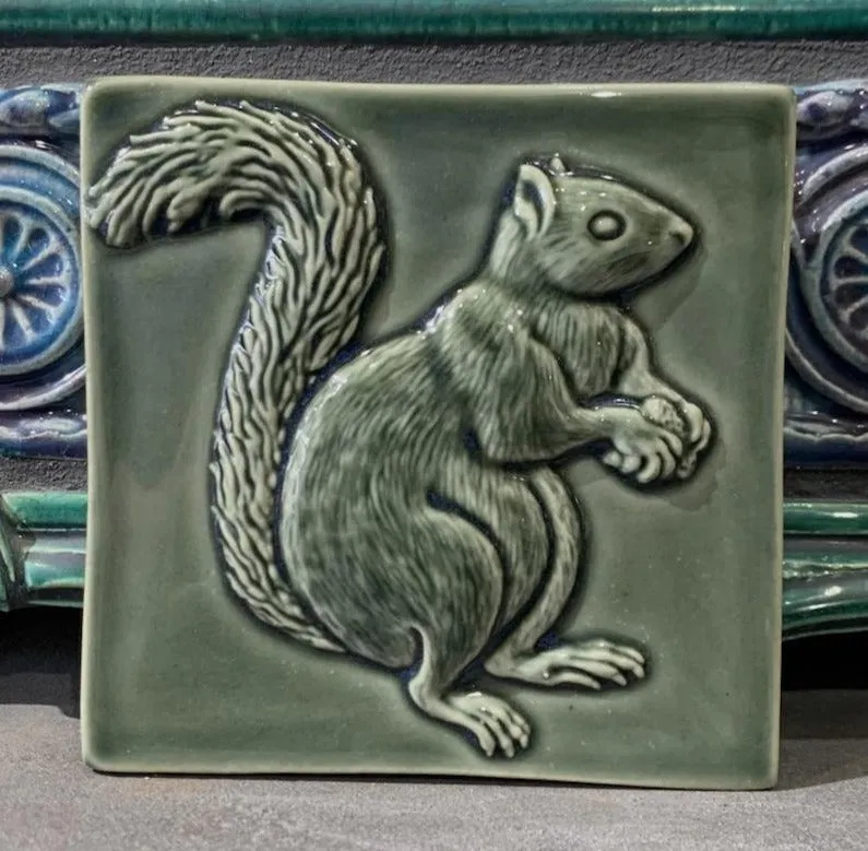 Squirrels