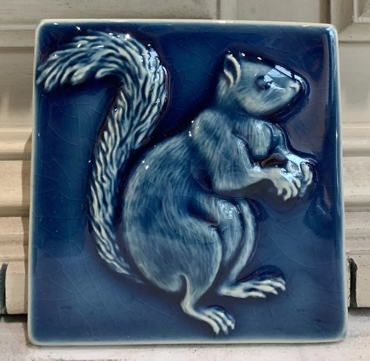 Squirrels