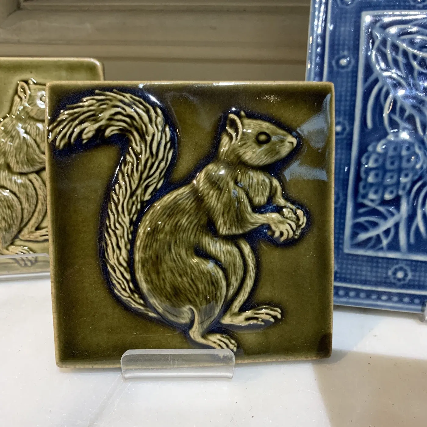 Squirrels