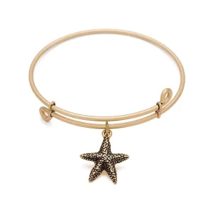Starfish, Bangle Antique Gold Color Finish