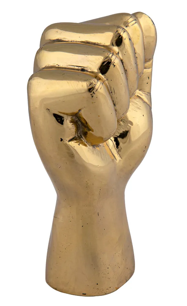THE SOLIDARITY FIST