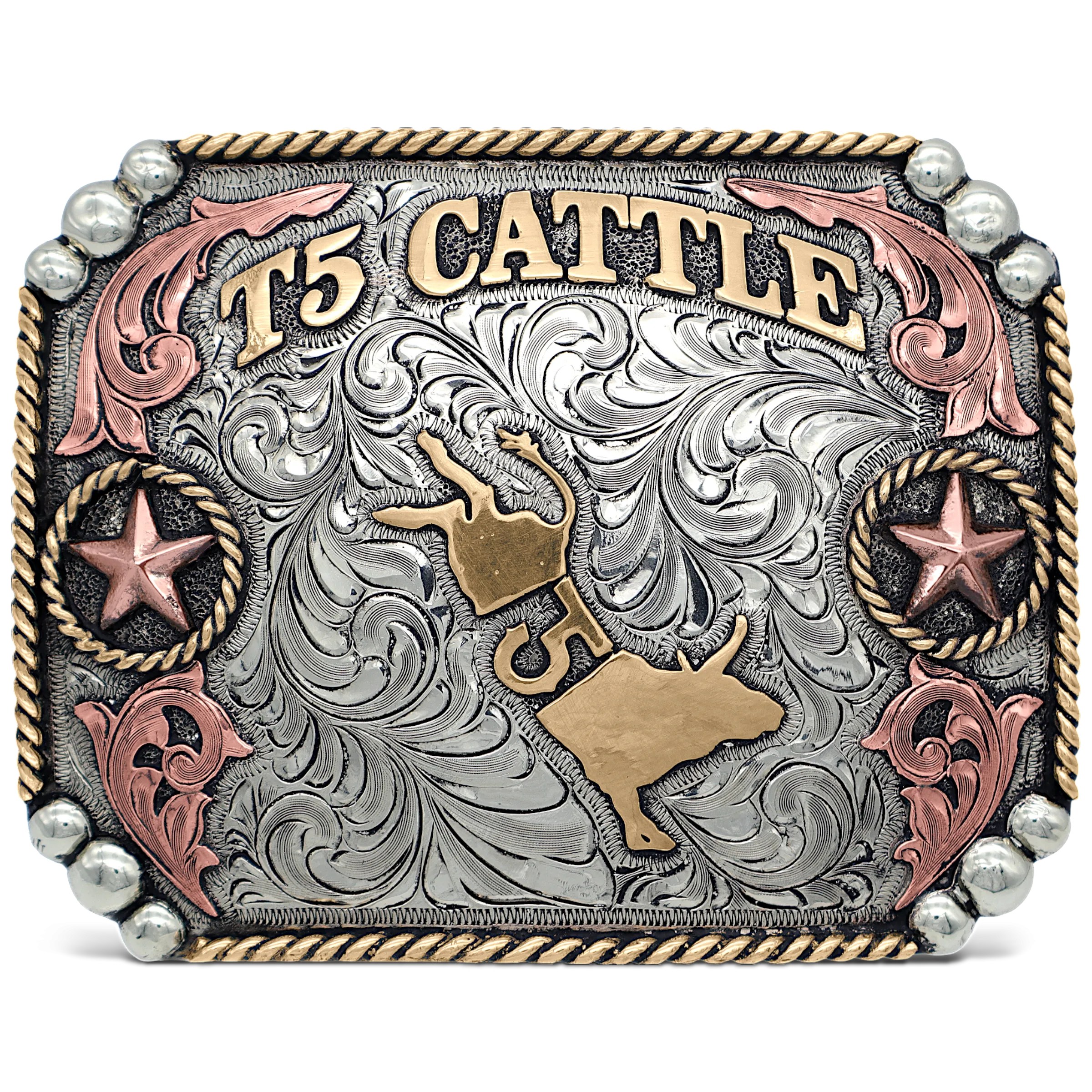 Wild West Wonder Custom Buckle